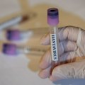 Упаљен аларм, ова земља на удару хантавируса: Најгора епидемија у последњих 10 година
