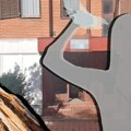 Откривамо како је убијен пензионер на Чукарици: Жена му зарила дрвени предмет директно у срце!