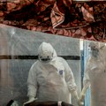 Ebola stigla u Evropu, prvi slučaj zabeležen u Francuskoj