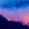 Požari pustoše severoistočni Alžir, stradalo najmanje šestoro ljudi