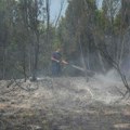 Požari oko Kladova, proglašena vanredna situacija