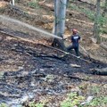 Izgorelo oko 15 ari Danas izbio požar u manastirskim šumama kod Manastira Tronoša