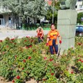 JKP „MEDIANA“ – Planirani radovi na uređenju grada