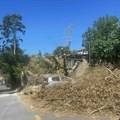 Oglasila se uprava Klinike za infektivne i tropske bolesti u Beogradu povodom obrušenog zida: "Uzrok je drvo koje je palo…