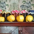 Посластица која се никада у гостима не одбија: Музеј слатка у Краљеву чува незаборавне укусе Србије