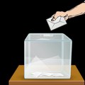 Izbori u Novom Sadu, otvorena 222 biračka mesta