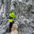 Ekipe Elektrodistribucije na terenu, otklanjaju kvarove izazvane snegom