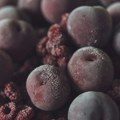 Direktor firme „Frigo Paun“ za Insajder: Hepatitis A potvrđen u miksu voća, inspekcijske kontrole u Srbiji već počele