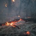 (FOTO) Požar u Deliblatskoj peščari izbliza, kroz objektiv fotoaparata