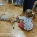 Više od 110.000 posetilaca u 17. Evropskoj noći istraživača