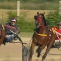 Kakva drama: Ovako je najbolji konj Nikole Jokića u finišu izgubio trku za pehar grada Sombora (video)