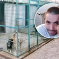 Volonter osuđen na 6 meseci zatvora zbog uginuća 120 pasa! Stigla presuda za horor iz Velikog Gradišta, kaznu dobila i…