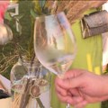 Međunarodni festival grašca na Petrovaradinskoj tvrđavi