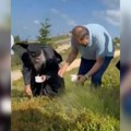 Dodik sa Porfirijem brao borovnice na Jahorini: "Kad su ruke čiste, a savest mirna i borovnica ima bolji ukus" (VIDEO)