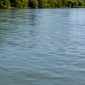 Tela dvojice muškaraca pronađena u vodi kod potonulog splava u Užicu