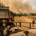 Aktivna 3 velika žarišta u Deliblatskoj peščari! Oglasili se iz "Vojvodinašuma": Ova 3 faktora su suština prevencije