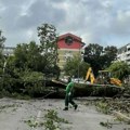 Novi Sad: "Čistoća" otklonila posledice nevremena u 176 ulica