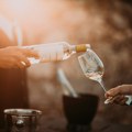 Volite li vino? Naučnici traže vašu pomoć i nude vam ga besplatno