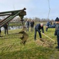 Zasađeno 200 mladica sibirskog bresta: U Crvenki počela velika godišnja akcija pošumljavanja