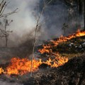 Veliki požar u Černobiljskoj zoni: Vatra zahvatila 1.200 hektara šume