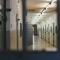 Mihail Čikvišvili, neonacista iz Njujorka, osuđen na 15 godina
