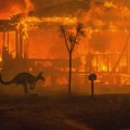 S obe noge na zemlji: Izložba fotografija o klimatskim promenama