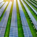 Gotovo celokupan uvoz solarnih panela u EU dolazi iz Kine