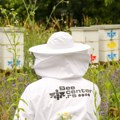 BeeCenter urbano pčelarstvo: Zašto je važno imati košnice u centru grada?