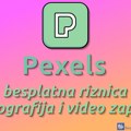 Pexels – besplatna riznica fotografija i video zapisa