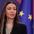 Mesarović: Građani su jasno videli ko čuva Srbiju, a ko bi da je ruši i uništi