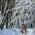 Ledeni talas ne popušta: Nagli pad temperature doneo jak mraz i poledicu, sneg se vraća tokom noći