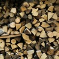 Najefikasnije vrste ogrevnog drveta: Ovo drvo svi zanemaruju, a stručnjaci preporučuju