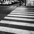 Poginula žena u Nišu: vozilo je oborilo u ulici Starca Vujadina