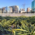 Početak maja uz veoma toplo i sunčano vreme: Temperatura danas iznad proseka, do 26 stepeni