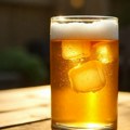 Pivopije zgrožene novim trendom Sve više mladih pije pivo s ledom