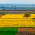 Imanje od milion evra: Evo gde je u Srbiji prodata parcela zlata vredna