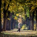 Danas je zvanično poslednji dan leta: Sutra počinje jesen, evo u koliko sati