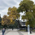Ministarski pohod na Leskovac: Vlada Srbije sutra zaseda pola sata, ministri u punoj akciji po gradu