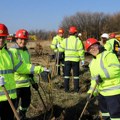 Obeležen Dan Drveća (Arbor Day) u Srbija Ziđin Majningu: Zaposleni sadnjom drveća ozelenjavali okruženje
