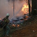 Lokalizovan požar na hrvatskom ostrvu Vis; Izgorelo oko 300 hektara šume i rastinja