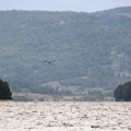 Vladimir otvorio vrata i ugledao prizor koji nije očekivao: Sve se dogodilo nadomak Vlasinskog jezera