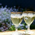 Francuzi očekuju pad prodaje šampanjca