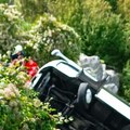 U udesu autobusa u Crnoj Gori poginuo državljanin Velike Britanije, druga žrtva devojka iz Podgorice