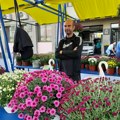 Jesenje ruže najtraženije na Festivalu cveća u Vranju