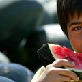 Izrael i Palestinci: Kako je lubenica postala simbol Palestinaca