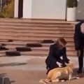Kako je predsednika Austrije ujeo pas predsednice Moldavije