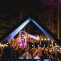 Na tri festivalske bine na Divčibarama skrenuće preko 30 izvođača: Ko su izvođači na mountain Music festu?