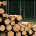 Stručnjaci savetuju Preko leta kupite ogrev i uštedite; Evo koliko košta kubik drva i kako se kreću cene uglja i peleta