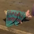 Pokret Bravo: Prase na protestu u Novom Sadu podmetnula BIA