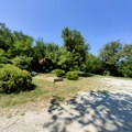 Moderna galerija Valjevo – Devet godina od upokojenja slikara Ljube Popovića